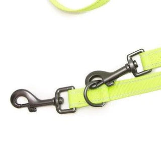 Long Paws Reflective Training Lead
